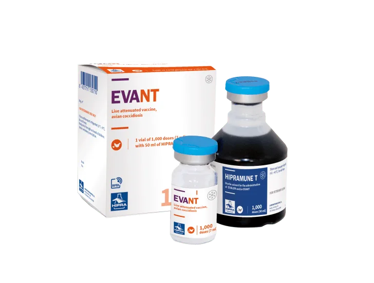 EVANT vắc xin cầu trùng sống nhược độc cho gà