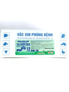 MAR PRRS VAC (HDH) TAI XANH BM18 vắc xin phòng bệnh tai xanh