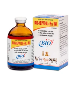 BIO HEPATOL B12 INJ thuốc bổ gan, lợi mật, tăng cường giải độc gan, giúp ăn ngon mau lớn
