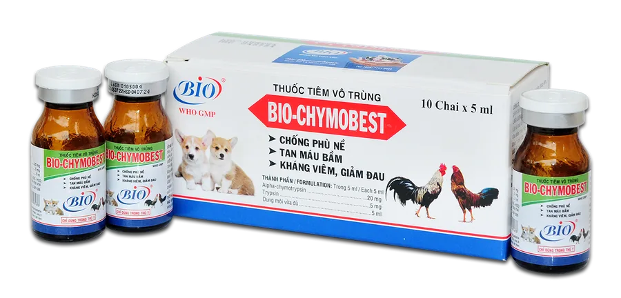 BIO CHYMOBEST thuốc tiêm vô trùng chống phù nề, tan máu bầm, kháng viêm, giảm đau trên chó, gia cầm