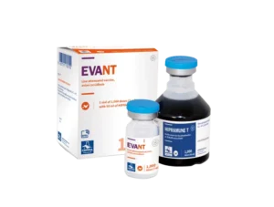 EVANT vắc xin cầu trùng sống nhược độc cho gà