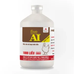 FIVE AI H5N1 H5N6 vaccine Phòng bệnh cúm A/H5N1 bảo hộ chéo chủng A/H5N6